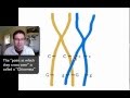 Genetics: Test Cross and Linkage