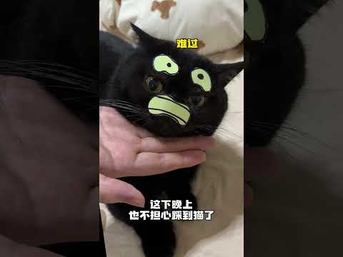 【#一只黑糖啵啵】黑猫爱隐身的难题这下给我破解了! #黑猫#隐身#丝涟床垫