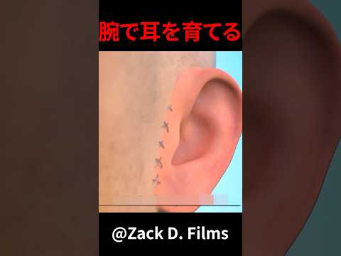 腕で耳を育てる　#shorts
