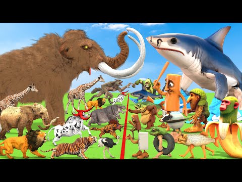 EPIC BATTLE Wild Animals Vs Italian brainrot Tung Tralalero Tralala Vs Elephant Animal Revolt Battle