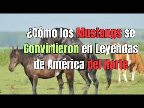 ¿Qué Hace a los Mustangs Tan Indomables El Misterio de América del Norte