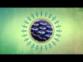 Biodiversity and Its Importance