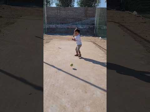 वक्त बदलना है ?❤️ |  2 Year Old | Cricket #shorts #reels #viral #tranding #cricket #youtubeshorts