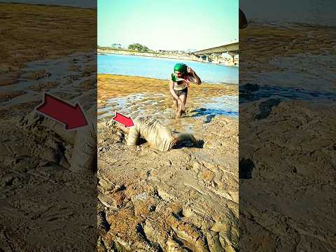 हम अपना फर्ज निभा के चले 😱😥🥹😌😭😭😭 #shots #trending #viral #shortvideo #shortyoutube #stunt