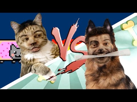 GATO vs. CÃO ♫