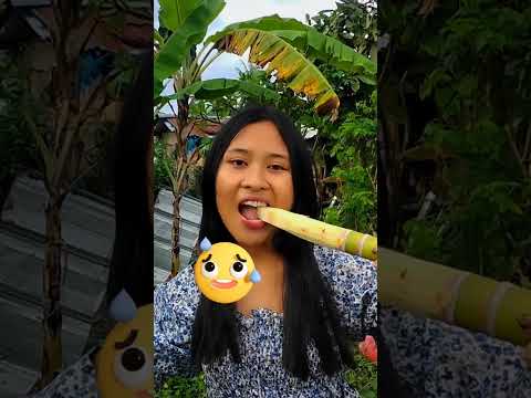 MUKBANG TEBU CINA #shortvideo #shorts #slimeasmr