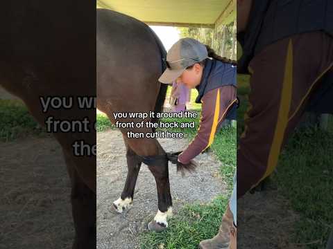 Reposting part 1 because everyone was saying the video froze.