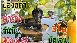 #ปู่องค์ดำตำลาววันนี้30/7/68