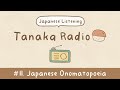Understanding Japanese Onomatopoeia and Kanji