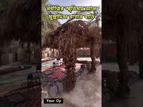 নবীজির স্মৃতি বিজড়িত আল মুস্তাদিল বাগানবাড়ি। #বাড়ি #নবীজী #রাসূল #shorts