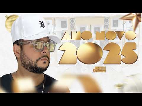 CD ANO NOVO 2025 - O BOY DA SERESTA ( MUSICAS TOP PRA PAREDÃO 2025 )