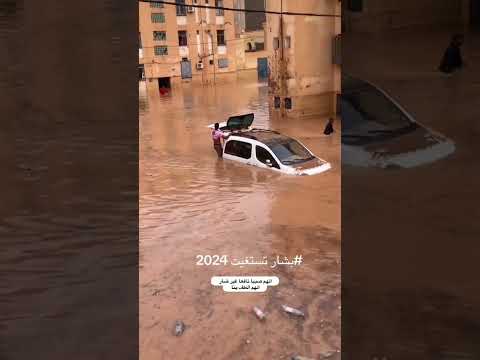 فيضان بشار 2024