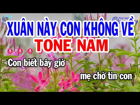 Karaoke Xuân Này Con Không Về Tone Nam E || Nhạc Tết Mới Nhất || Karaoke Đồng Sen