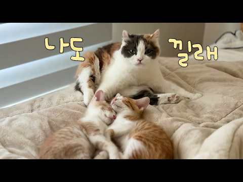 드디어 셋을 한 앵글에 담았다...!