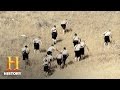 Leadership and Team Dynamics Assessment