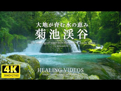 【癒し】大地が育む水の恵み（菊池渓谷）壮大な自然と美しい景観を感じて頂けると嬉しいです／疲れた心身の回復・勉強中や作業用、眠れない夜にもどうぞ。