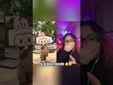Sin miedo al éxito chikis 🫣…