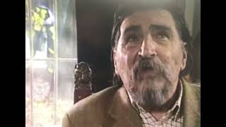 Călin Căliman  despre Nichita Stanescu