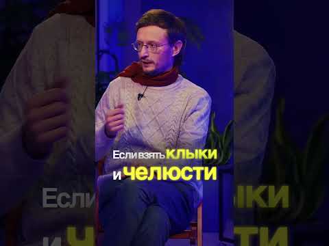 Станислав Дробышевский про теории заговора #наука #дробышевский