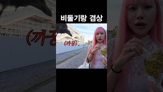 프랑스 길거리에서 비둘기랑 겸상한 썰