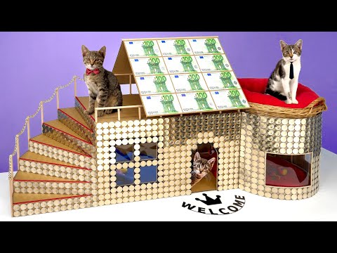 How to make a cat house.Rich people edition