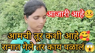 मी आजारी आहे  रानात आले तरी पळून गेलं 😱आमची तूर कशी आहे 🥰 त्वरित काही लपलं तरी दिसणार नाही