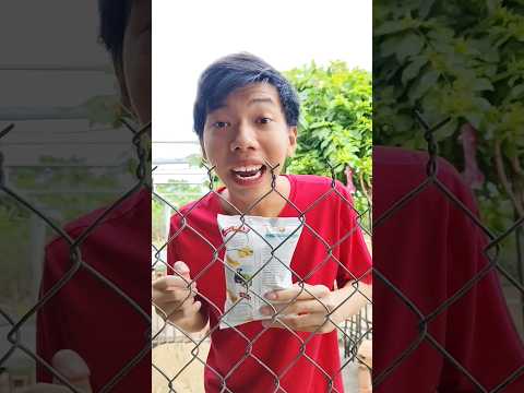 Mở cửa đi ăn bim bim 🤣 #videogiảitrí #funny #haihuoc