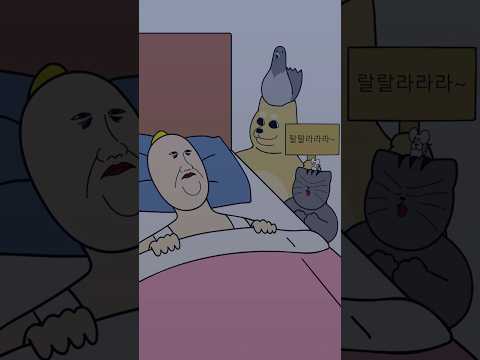 짐승친구들이 집사를 깨우는 방법