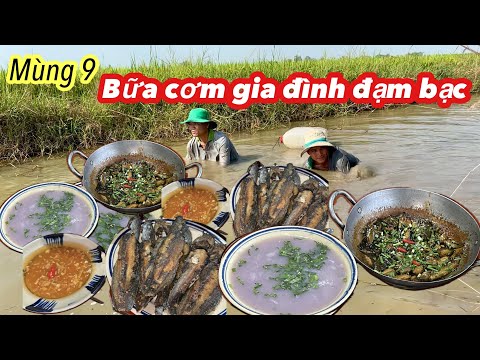 Ra Đồng Bắt Cá Về Nấu Bữa Cơm Đạm Bạc Ngày Mùng 9 Tết | Bông Lúa Đồng Tháp