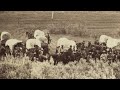 Conestoga Wagon and Westward Expansion