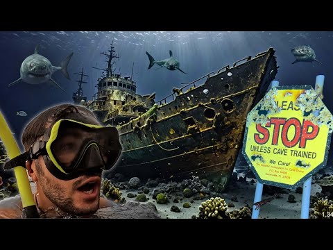 WE EXPLORED A WW2 SHIPWRECK *WARNING*