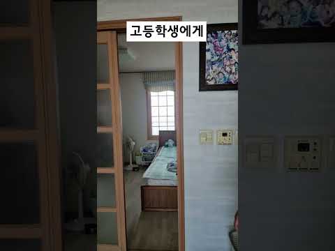 가성비 갑 제주어