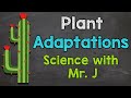 Plant Adaptations and Behaviors