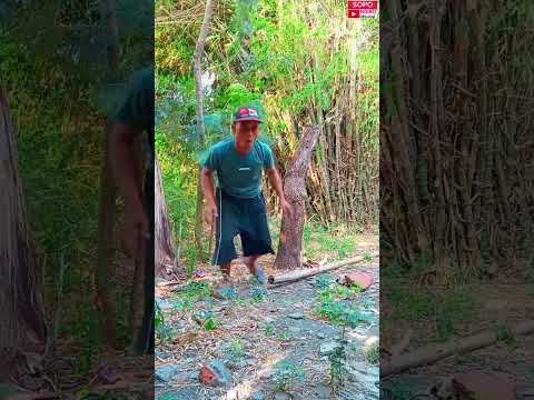 Mau ketawa takut dosa, video lucu hiburan warga +62 viral funny videos #shorts#sopongiro.