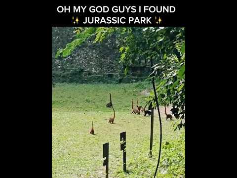 I FOUND JURASSIC PARK 😱🤯 #dinosaurs #jurassicworld #viral