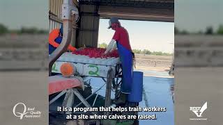 Para el cuidado de los becerros, contamos con el Programa CCQA