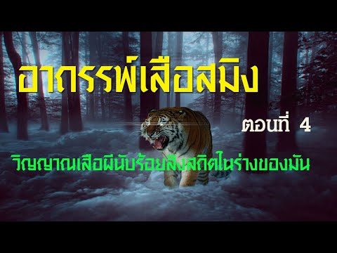 อาถรรพ์เสือสมิง ตอนที่ 4 ความจริงเปิดเผย