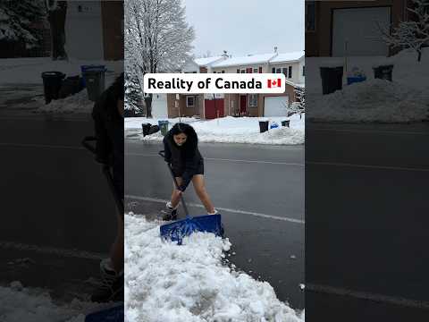 Its back in Canada ?? | #indianbloggerincanada