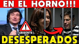 EN EL HORNO: ESTÁN DESESPERADOS 🚨 CRISTINA KIRCHNER Y KICILLOF ATACAN A MILEI PORQUE VAN A PERDER