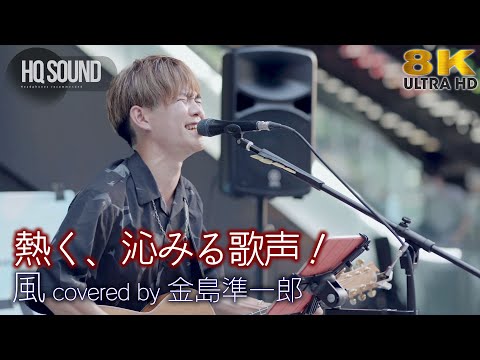 【 歌うま 】熱く、沁みる歌声！  風 / コブクロ（ covered by 金島準一郎 ）「MUSIC BUSKER IN UMEKITA」より 🎧推奨 高音質 8K映像