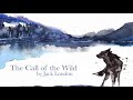 Buck's Adaptation in Sled Dog Life