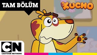 KUCHO | Evine Hoş Geldin Amansız Kont | TAM BÖLÜM | @cartoonnetworkturkiye