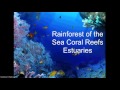 Aquatic Biomes and Their Characteristics