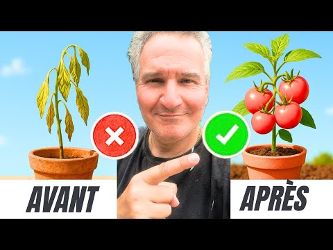 Cette astuce simple et gratuite améliore le paillage et l'arrosage de votre potager !