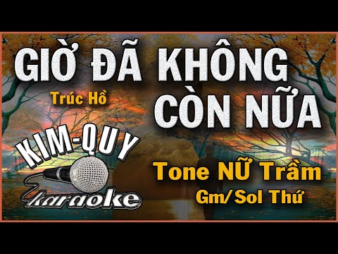 KARAOKE GIỜ ĐÃ KHÔNG CÒN NỮA – Tone NỮ  Trầm ( Gm/Sol Thứ )