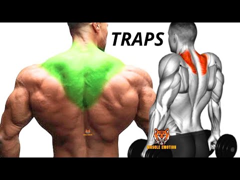 TRAPS WORKOUT- 5 BEST TRAPS EXERCISES AT GYM