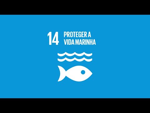 Objectivos para o Desenvolvimento Sustentável: Proteger a vida marinha