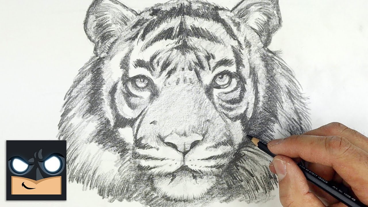 How To Draw Tiger - Sketch Saturday