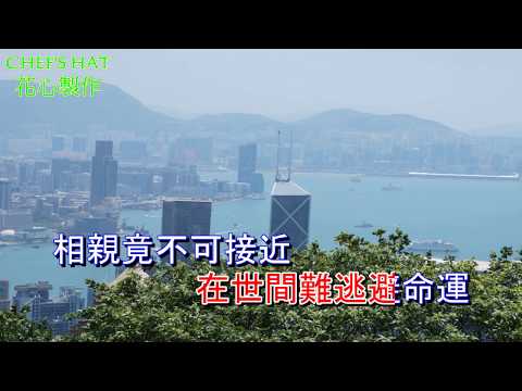 一生所愛 karaoke (粵語) – 譚維維