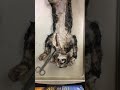Dissection Techniques and Anatomy Concepts